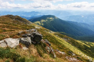 Ormanlı dağlar. Karpat Dağları