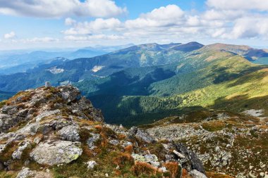 Ormanlı dağlar. Karpat Dağları