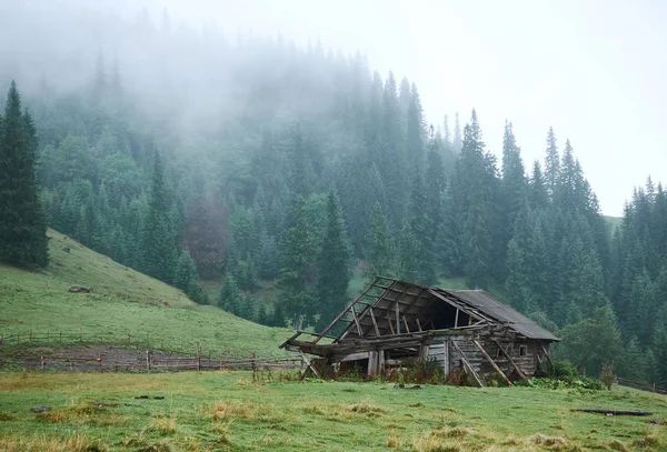 Berge mit Wäldern und Häusern. Karpaten — Stockfoto