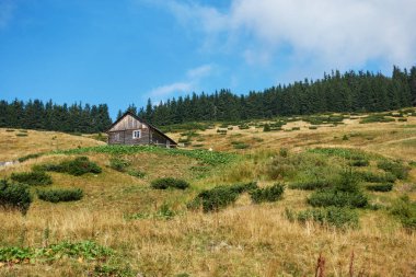 Ormanları ve evi olan dağlar. Karpat Dağları
