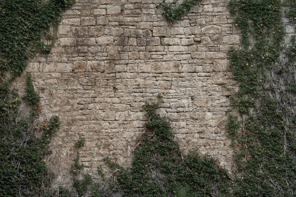 Brick wall of an old ashlar castle. — Stock Photo, Image