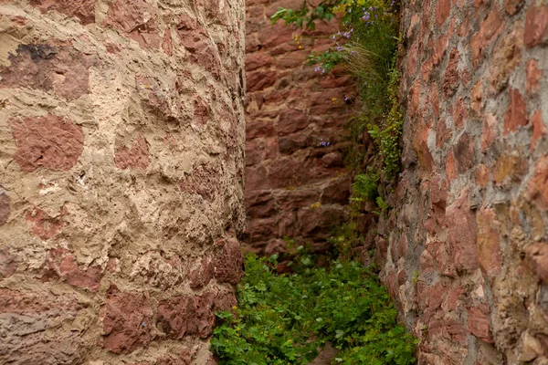 Brick wall of an old ashlar castle. — Stock Photo, Image