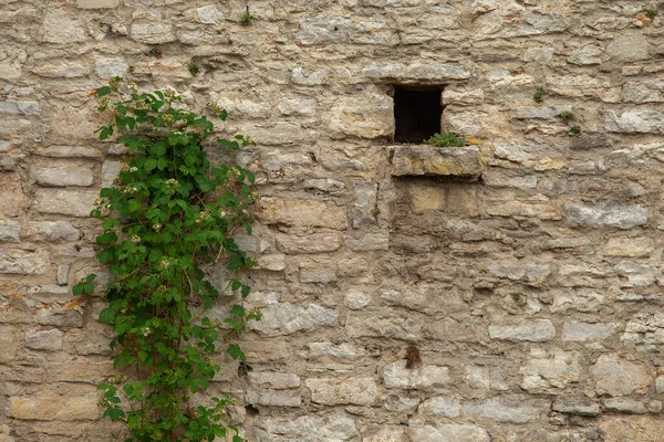 Brick wall of an old ashlar castle. — Stock Photo, Image