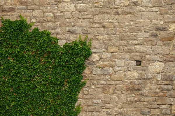 Brick wall of an old ashlar castle. — Stock Photo, Image