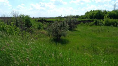 Kırsal gölün dibi uzun zaman önce kurudu.