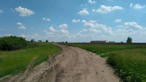 Tarlalardaki ıssız kırsal yol