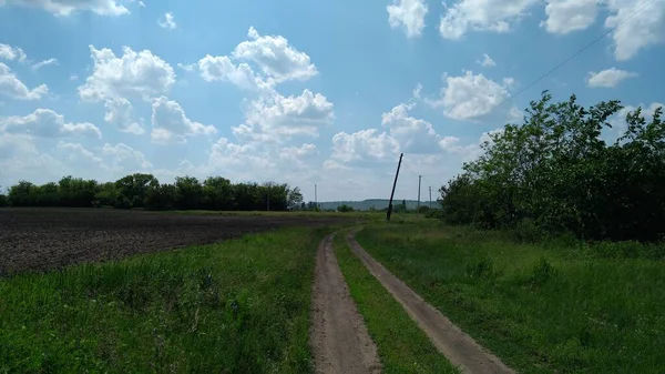 Tarlalardaki ıssız kırsal yol