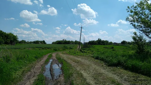 Tarlalardaki ıssız kırsal yol