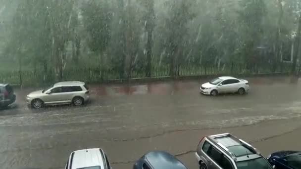 Novosibirsk July 2018 Storm Weather Pouring Heavy Rain City Streets — Stock Video