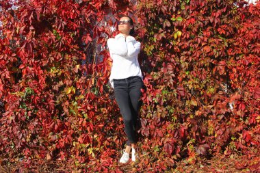 Yabani üzüm duvar. Vahşi yeşil üzüm arka plan. 