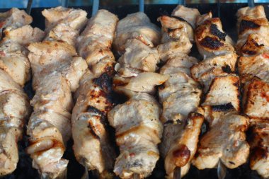 Sıcak alevler üzerine barbekü. Piknik konsepti.