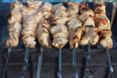 Sıcak alevler üzerine barbekü. Piknik konsepti.