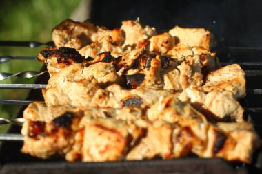 Sıcak alevler üzerine barbekü. Piknik konsepti.