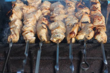 Sıcak alevler üzerine barbekü. Piknik konsepti.