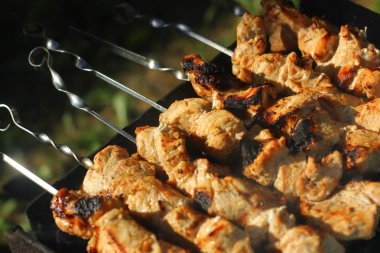 Sıcak alevler üzerine barbekü. Piknik konsepti.