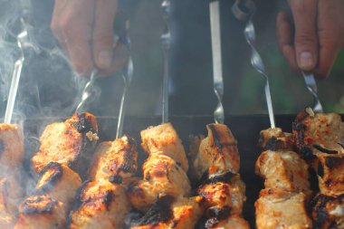 Sıcak alevler üzerine barbekü. Piknik konsepti.