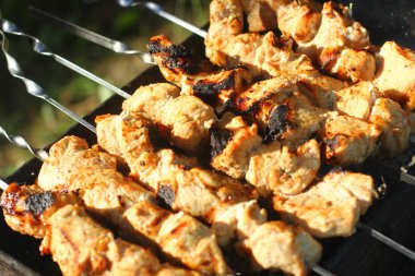 Sıcak alevler üzerine barbekü. Piknik konsepti.