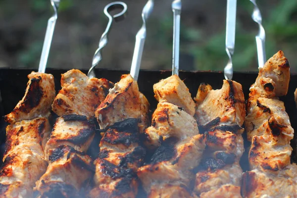 Grill Gorącym Ogniu Koncepcja Piknikowa — Zdjęcie stockowe