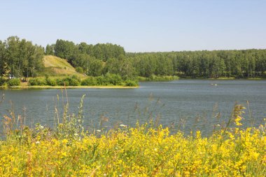 Yeşil ormanda vahşi göl ile Yaz manzara.