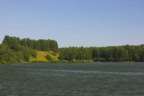 Letní Krajina Divokým Jezerem Zeleném Lese — Stock fotografie