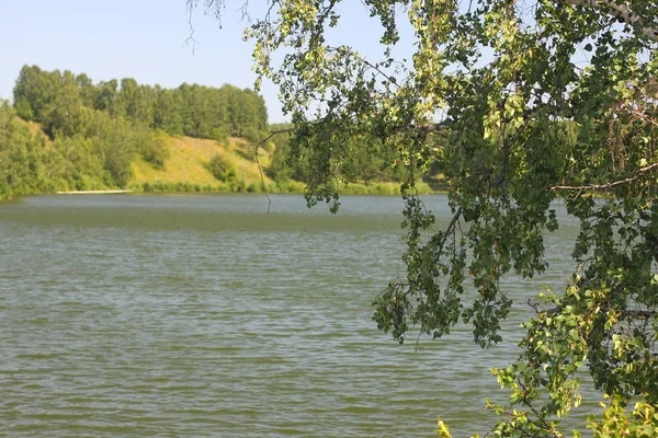 Sommar Landskap Med Vild Sjö Grön Skog — Stockfoto