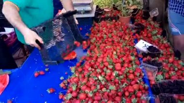 Alanya, Türkiye-10 Mayıs 2019: Alanya tatil beldesinde yürür. Yerlilerin gözlem. Pov.