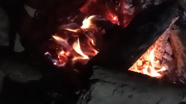 Fuego Campamento Noche Cerca Movimiento Lento — Vídeo de stock