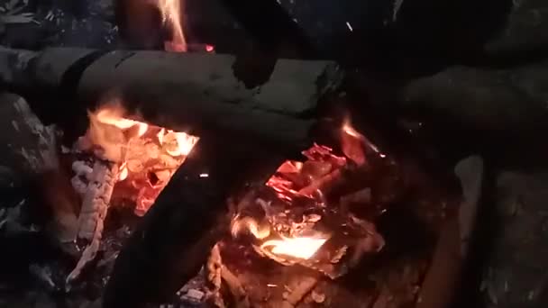 夜のキャンプ火災クローズアップ スローモーション — ストック動画