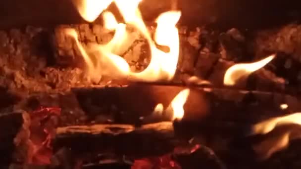 Lagerfeuer Der Nacht Aus Nächster Nähe Zeitlupe — Stockvideo