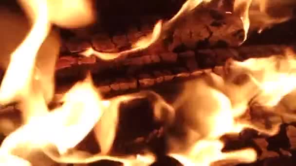 Пожар Лагере Ночью Медленное Движение — стоковое видео