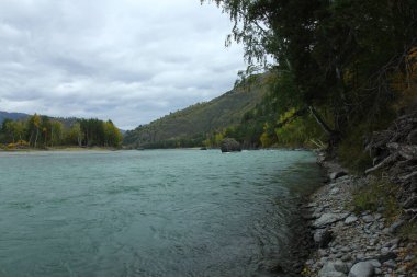 Chemal, Altai dağları ve Katun nehrinde sonbahar manzarası. 