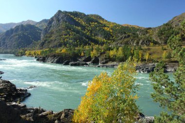 Chemal, Altai dağları ve Katun nehrinde sonbahar manzarası. 