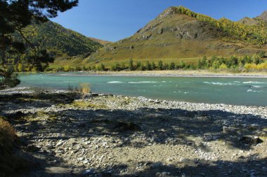 Chemal, Altai dağları ve Katun nehrinde sonbahar manzarası. 