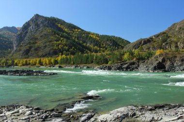Chemal, Altai dağları ve Katun nehrinde sonbahar manzarası. 