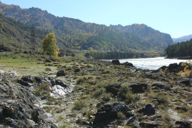 Chemal, Altai dağları ve Katun nehrinde sonbahar manzarası. 