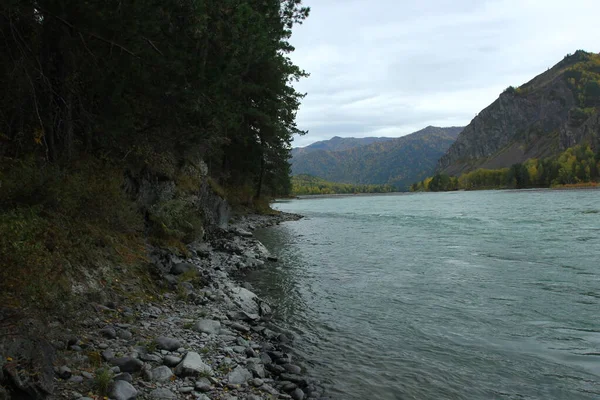 Höstlandskap Chemal Altai Bergen Och Katun Älv — Stockfoto