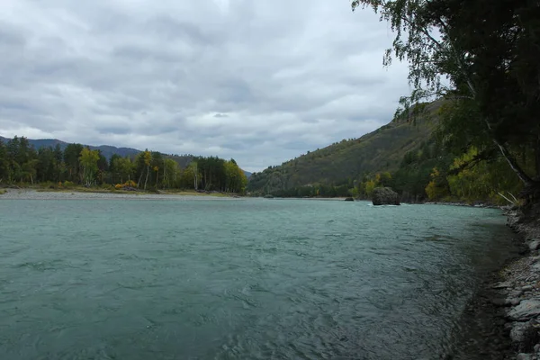 Chemal Altai山和Katun河的秋季风景 — 图库照片