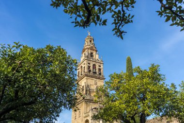 Bir Roma Katolik Hıristiyan Katedrali İspanyol şehri Cordoba, Andalusia Cordoba Camii katedral veya Katedrali varsayım of Our Lady, ortaçağ İslam camiye dönüştürülmüştür.