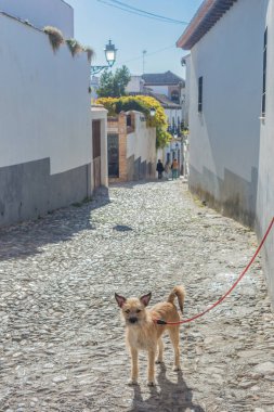 Albaicin çeyrek sokaklarda Granada, Endülüs, İspanya
