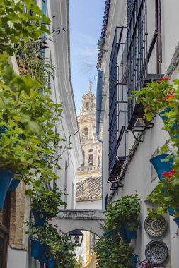 Calleja de las Flores, bir en popüler ve Ulu Cami Andalusia, İspanya yakınındaki Cordoba şehrin sokaklarında turizm.