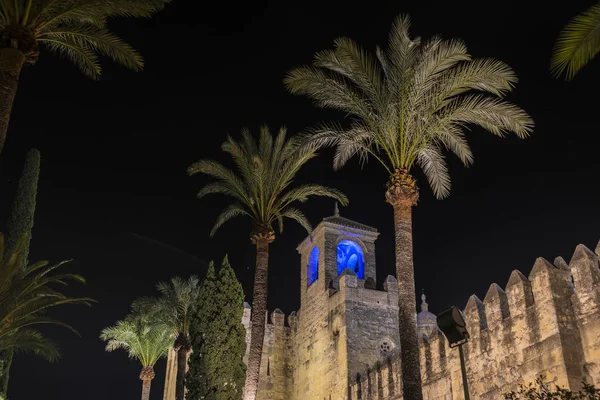 Alcázar Los Reyes Cristianos También Conocido Como Alcázar Córdoba Alcázar — Foto de Stock