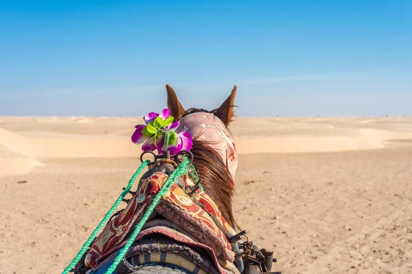Деятельность Пустыне Дуз Кебили Тунис — стоковое фото