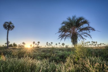 el palmar Milli Parkı, Arjantin Sunrise