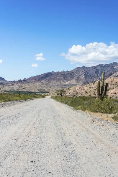 Famous Route 40 in Salta, Argentina. — Stock Photo, Image