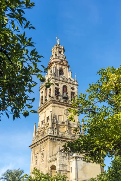 Moschee-Kathedrale von Cordoba in Andalusien, Spanien — Stockfoto