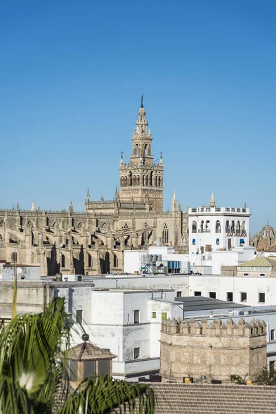 Giralda Seville, Endülüs, İspanya. — Stok fotoğraf