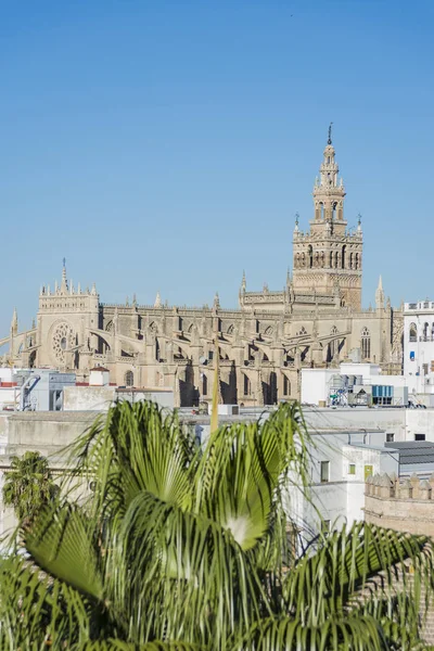 Giralda v Seville, Andalusie, Španělsko. — Stock fotografie