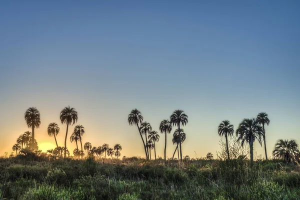 Wschód słońca na el palmar national park, Argentyna — Zdjęcie stockowe