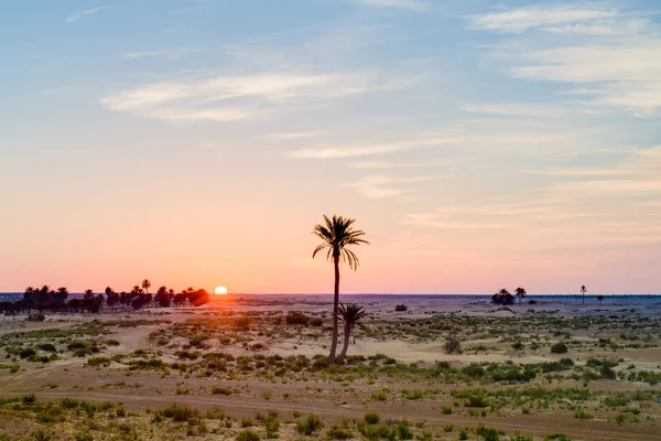 Nascer do sol no deserto na Tunísia — Fotografia de Stock