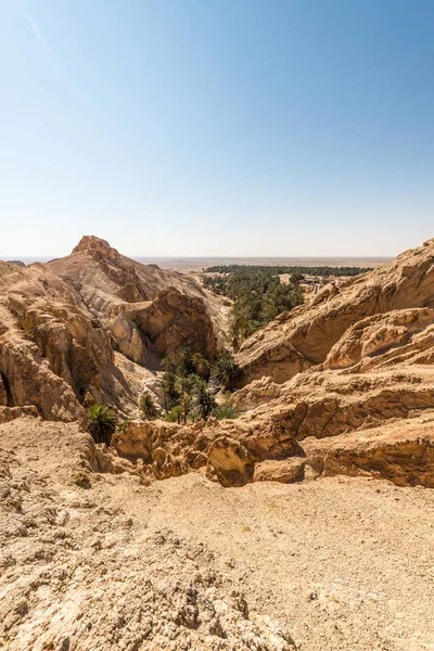 Chebika Oasis i Tozeur, Tunesien - Stock-foto